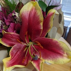 Meet your Posher, Kim